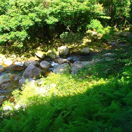 屋久島コテージ対流山荘 ยากูชิมา ภายนอก รูปภาพ