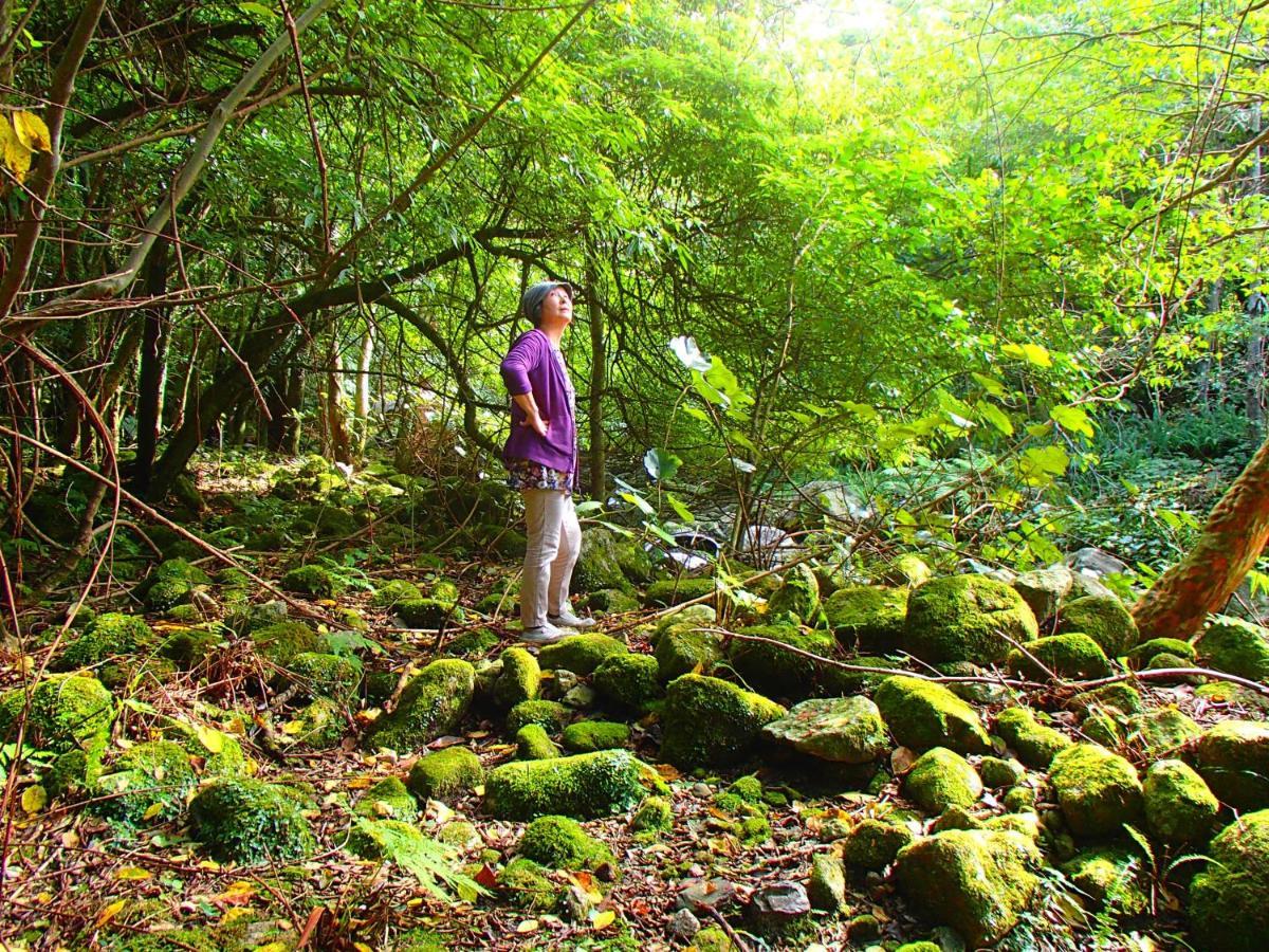 屋久島コテージ対流山荘 ยากูชิมา ภายนอก รูปภาพ
